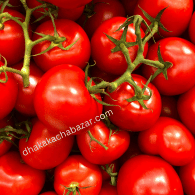 Tomato (টমেটো)