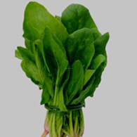 Spinach