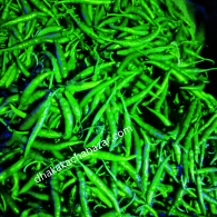 কাঁচা মরিচ (Green Chilli)