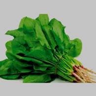 Radish Leaves